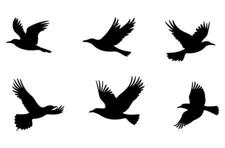 Set of silhouettes of flying birds isolated on white background. Vector illustration.のイラスト素材