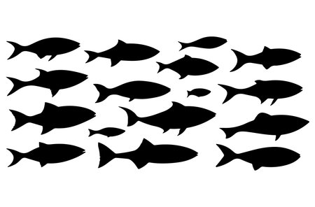 silhouette of fish on a white background. vector illustration.のイラスト素材
