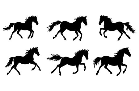 Set of black horses silhouettes on white background. Vector illustration.のイラスト素材