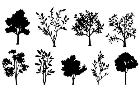 Set of trees silhouettes isolated on white background. Vector illustration.のイラスト素材