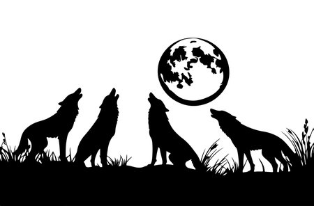Silhouettes of howling wolves in the field. Vector illustration