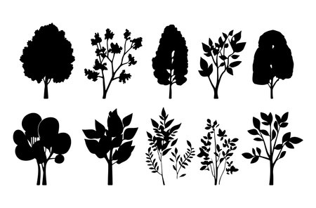 Set of black silhouettes of trees and plants. Vector illustration.のイラスト素材