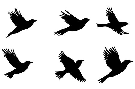 Set of black flying birds silhouettes isolated on white background. Vector illustration.のイラスト素材