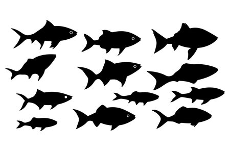 Black silhouettes of fish on a white background. Vector illustration.のイラスト素材