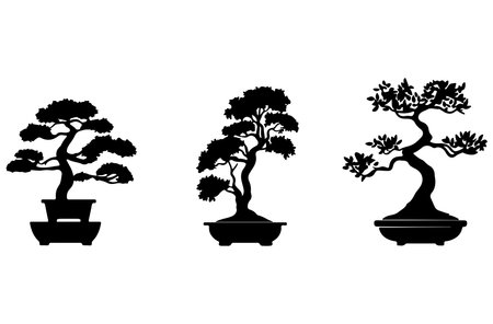 Bonsai tree icon set. Black silhouette bonsai on white background.のイラスト素材