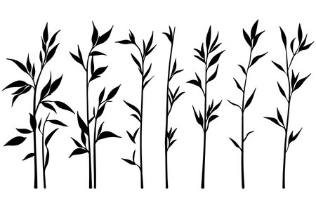 Set of silhouettes of bamboo. Vector illustration isolated on white background.のイラスト素材