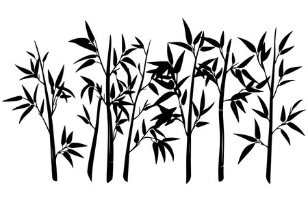 Bamboo plants silhouettes isolated on white background. Vector illustration.のイラスト素材