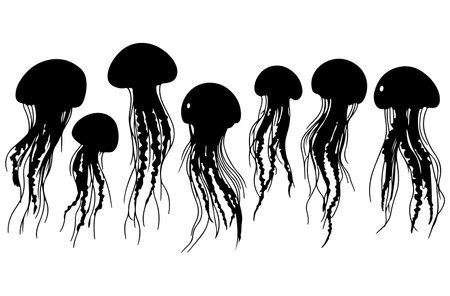 Jellyfish. Black silhouettes on a white background. Vector illustration.のイラスト素材