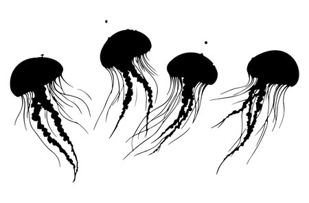 Jellyfish. Black silhouettes on white background. Vector illustration.のイラスト素材