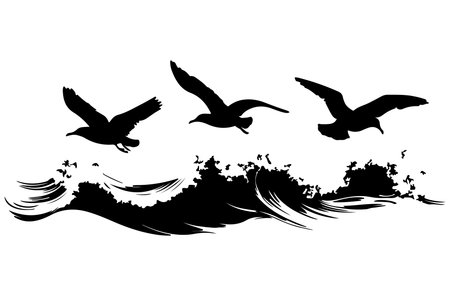 silhouette of seagulls flying on a white backgroundのイラスト素材