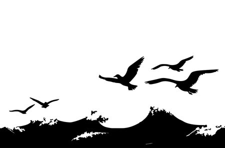 Seagulls flying in the sky, vector silhouette illustration.のイラスト素材