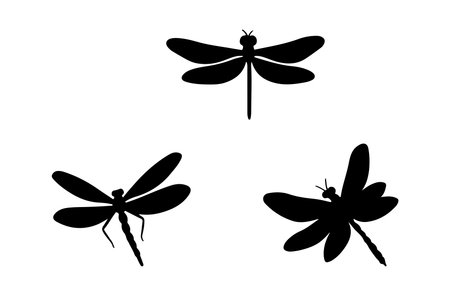 Dragonfly silhouettes on white background. Vector illustration for your designのイラスト素材