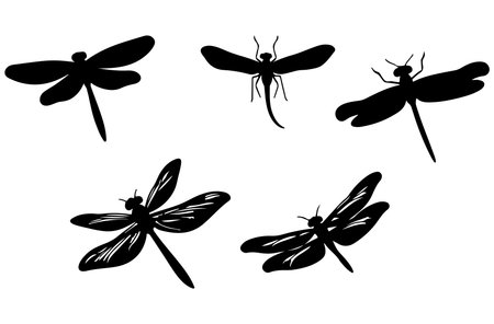 Dragonfly silhouettes isolated on white background. Black and white vector illustration.のイラスト素材
