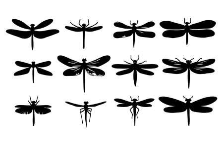 Dragonfly silhouettes set isolated on white background. Vector illustration.のイラスト素材