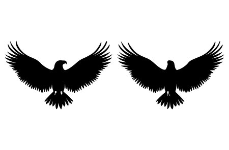 Silhouette of a pair of pigeons on a white backgroundのイラスト素材