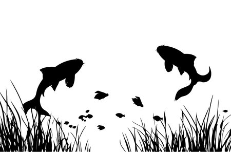 Silhouettes of fish in the grass on a white background.のイラスト素材
