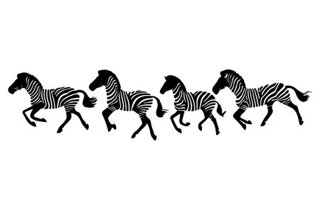 Vector image of black and white zebra silhouettes on white backgroundのイラスト素材