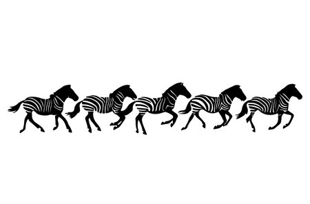 Black and white zebra silhouettes on white background. Vector illustrationのイラスト素材