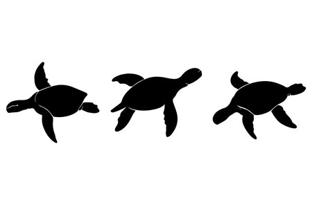 Turtles black silhouettes isolated on white background. Vector illustration.のイラスト素材