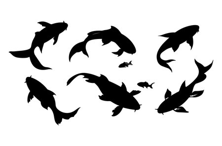 Koi fish. Set of silhouettes of koi fish. Vector illustration.のイラスト素材