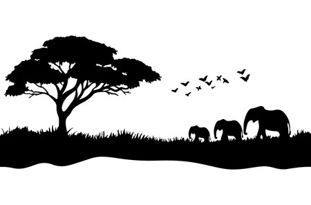 Silhouette of elephants in the savanna. Vector illustration.のイラスト素材