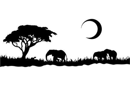 Elephant in the savanna and the moon. Vector illustration.のイラスト素材