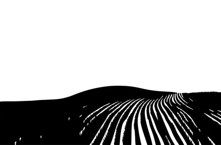 Abstract background with black and white lines. Vector illustration for your designのイラスト素材
