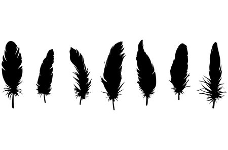 Feathers silhouettes set isolated on white background. Vector illustration.のイラスト素材