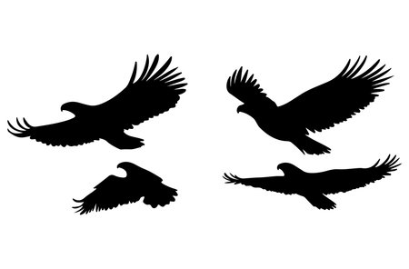 Set of silhouettes of eagle on a white background. Vector illustrationのイラスト素材