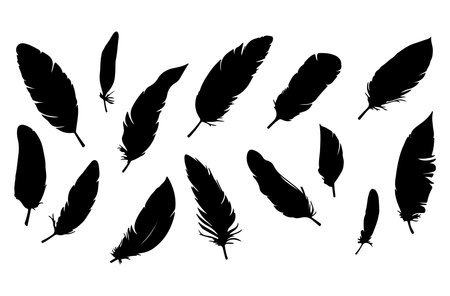 Feathers silhouettes isolated on white background. Vector illustration.のイラスト素材