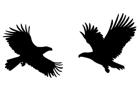 Silhouette of eagle on a white background. Vector illustration.のイラスト素材