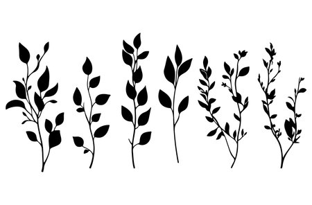 branch with leafs nature ecology isolated icon vector illustration desingのイラスト素材