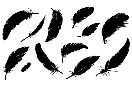 Feathers black silhouettes isolated on white background. Vector illustrationのイラスト素材