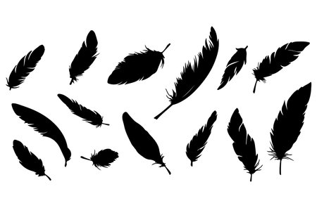 Feathers silhouettes isolated on white background. Vector illustration.のイラスト素材