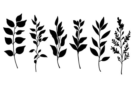 Vector set of black silhouettes of leaves and branches on a white backgroundのイラスト素材