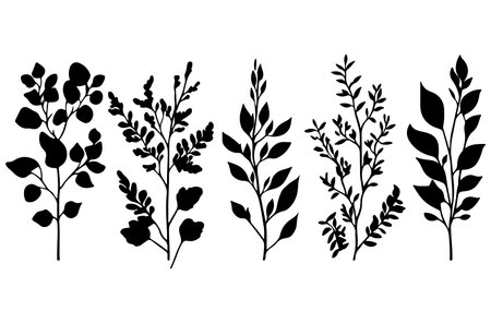 Set of black and white silhouettes of branches and leaves. Vector illustration.のイラスト素材