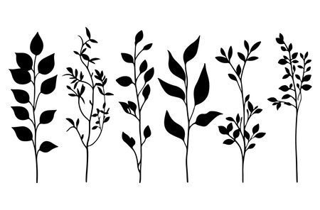 Set of black silhouettes of branches and leaves. Vector illustration.のイラスト素材