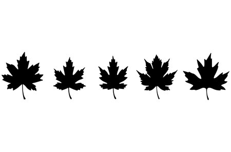 Set of silhouettes of maple leaves on a white background. Vector illustrationのイラスト素材