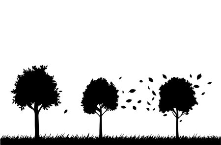Silhouette of trees with leaves on white background. Vector illustration.のイラスト素材