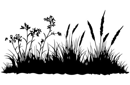 Grass silhouettes isolated on a white background. Vector illustration.のイラスト素材
