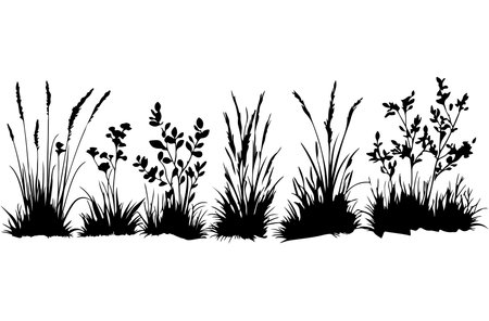 Grass silhouettes on a white background. Vector illustration. Eps 10.のイラスト素材