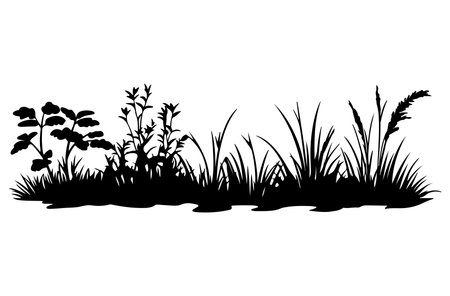 Grass silhouettes isolated on white background. Black and white vector illustration.のイラスト素材