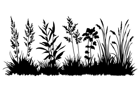 Vector grass silhouettes isolated on white background. Black and white illustration.のイラスト素材