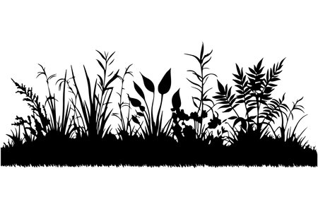 Silhouette of grass and plants on white background, vector illustrationのイラスト素材