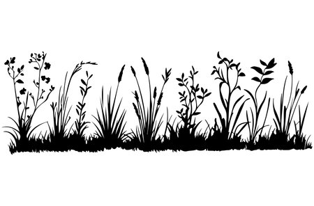 Grass silhouettes isolated on a white background. Vector illustration.のイラスト素材