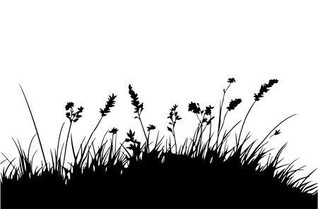 Grass silhouettes isolated on white background. Vector illustration for your designのイラスト素材