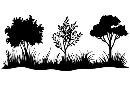 Black silhouettes of trees and grass on a white background. Vector illustrationのイラスト素材