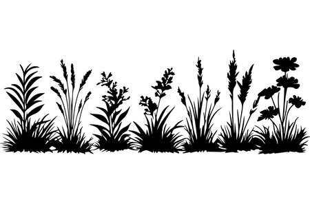 Grass and flowers silhouettes isolated on white background. Vector illustration.のイラスト素材