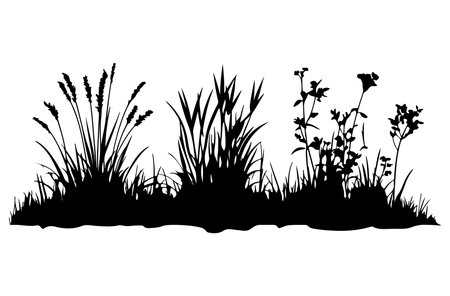 Grass silhouette isolated on white background. Black and white vector illustration.のイラスト素材