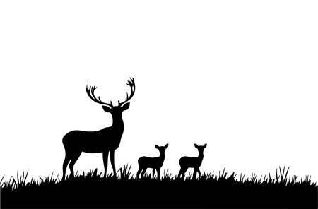 Silhouette of deer family on white background. Vector illustration.のイラスト素材